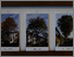 [thumbnail of Sample of images from typology group - Edgedale Rd portraits]