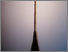 [thumbnail of broom.jpg]